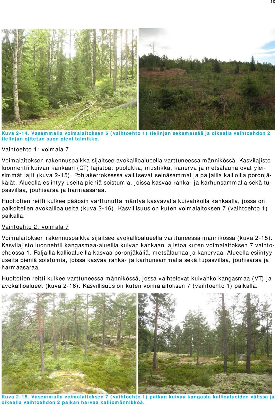 Kasvilajisto luonnehtii kuivan kankaan (CT) lajistoa: puolukka, mustikka, kanerva ja metsälauha ovat yleisimmät lajit (kuva 2-15).