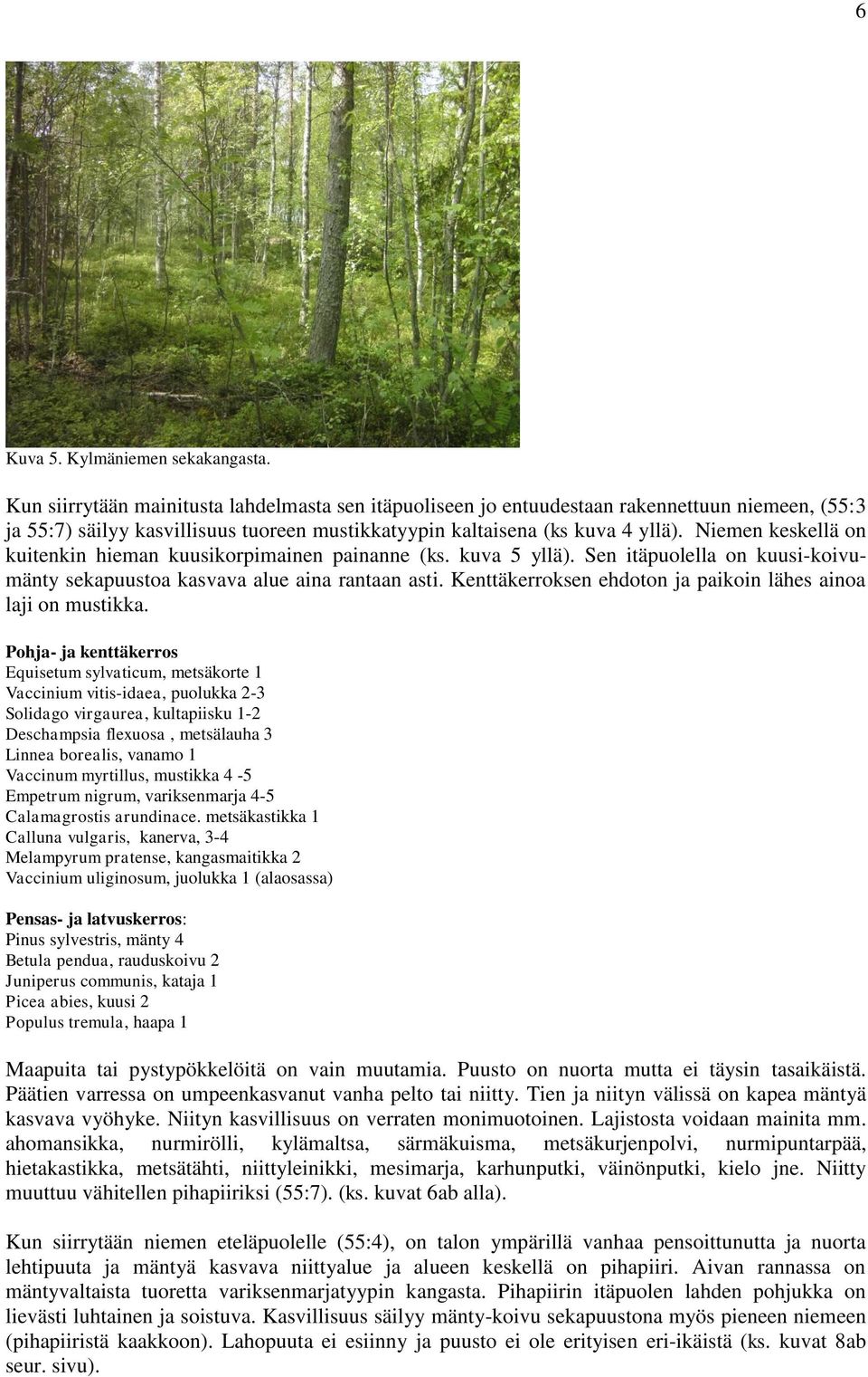 Niemen keskellä on kuitenkin hieman kuusikorpimainen painanne (ks. kuva 5 yllä). Sen itäpuolella on kuusi-koivumänty sekapuustoa kasvava alue aina rantaan asti.