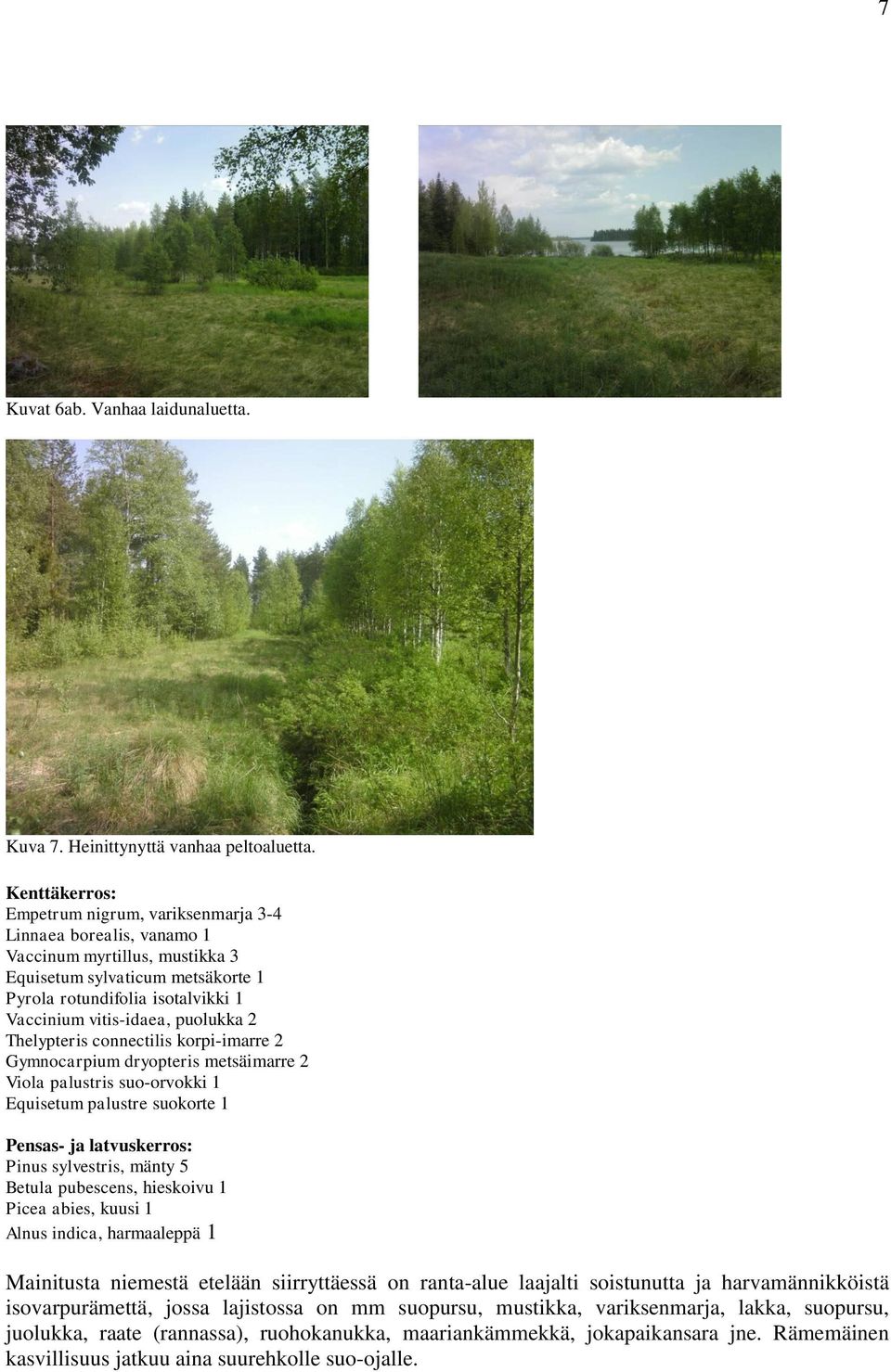 puolukka 2 Thelypteris connectilis korpi-imarre 2 Gymnocarpium dryopteris metsäimarre 2 Viola palustris suo-orvokki 1 Equisetum palustre suokorte 1 Pensas- ja latvuskerros: Pinus sylvestris, mänty 5