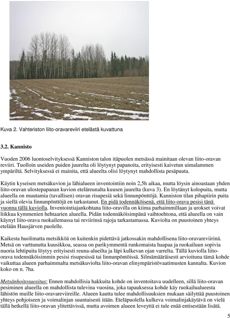 Käytin kyseisen metsäkuvion ja lähialueen inventointiin noin 2,5h aikaa, mutta löysin ainoastaan yhden liito-oravan ulostepapanan kuvion eteläreunalta kuusen juurelta (kuva 3).