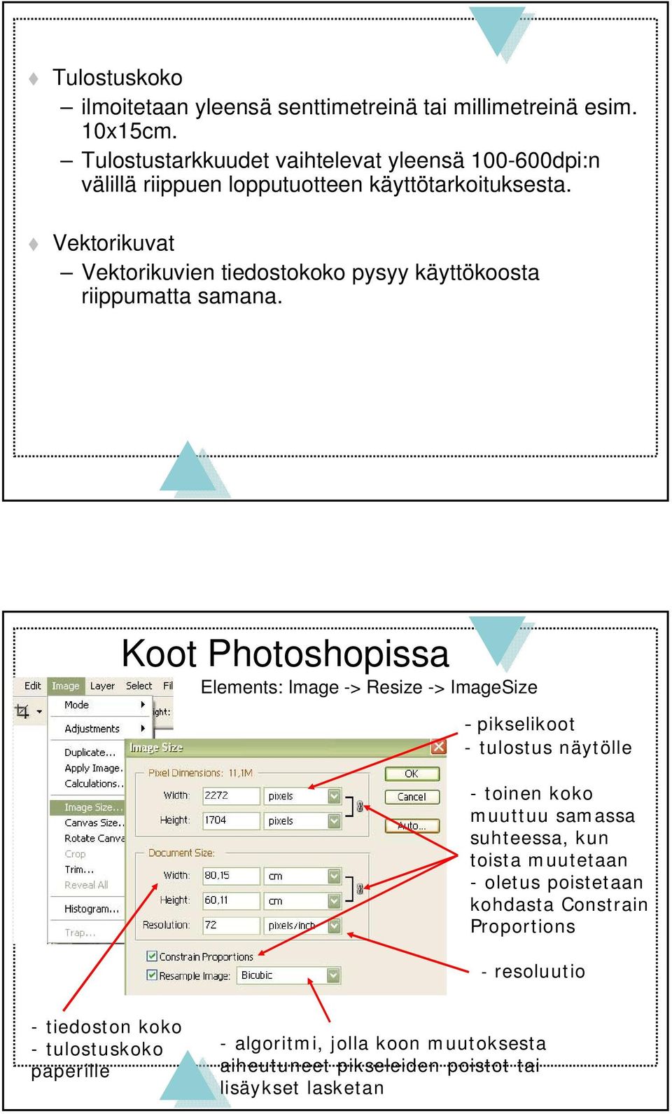Vektorikuvat Vektorikuvien tiedostokoko pysyy käyttökoosta riippumatta samana.
