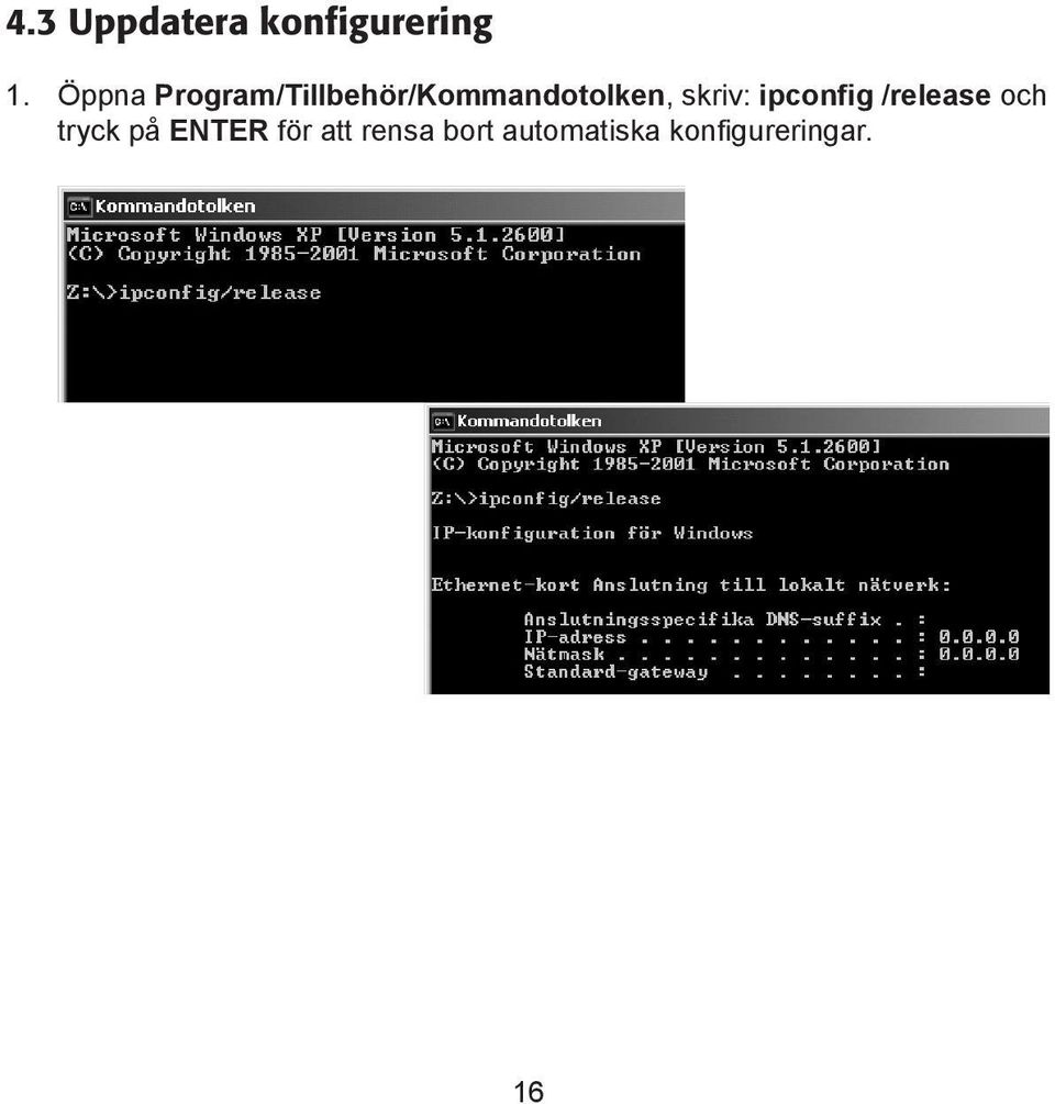 skriv: ipconfig /release och tryck på
