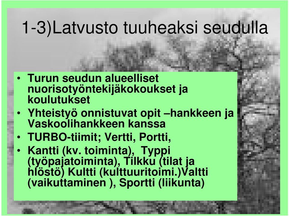 Vaskoolihankkeen kanssa TURBO-tiimit; Vertti, Portti, Kantti (kv.