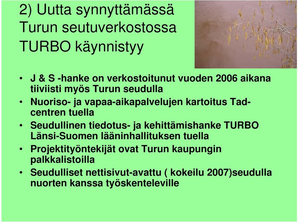 Seudullinen tiedotus- ja kehittämishanke TURBO Länsi-Suomen lääninhallituksen tuella Projektityöntekijät