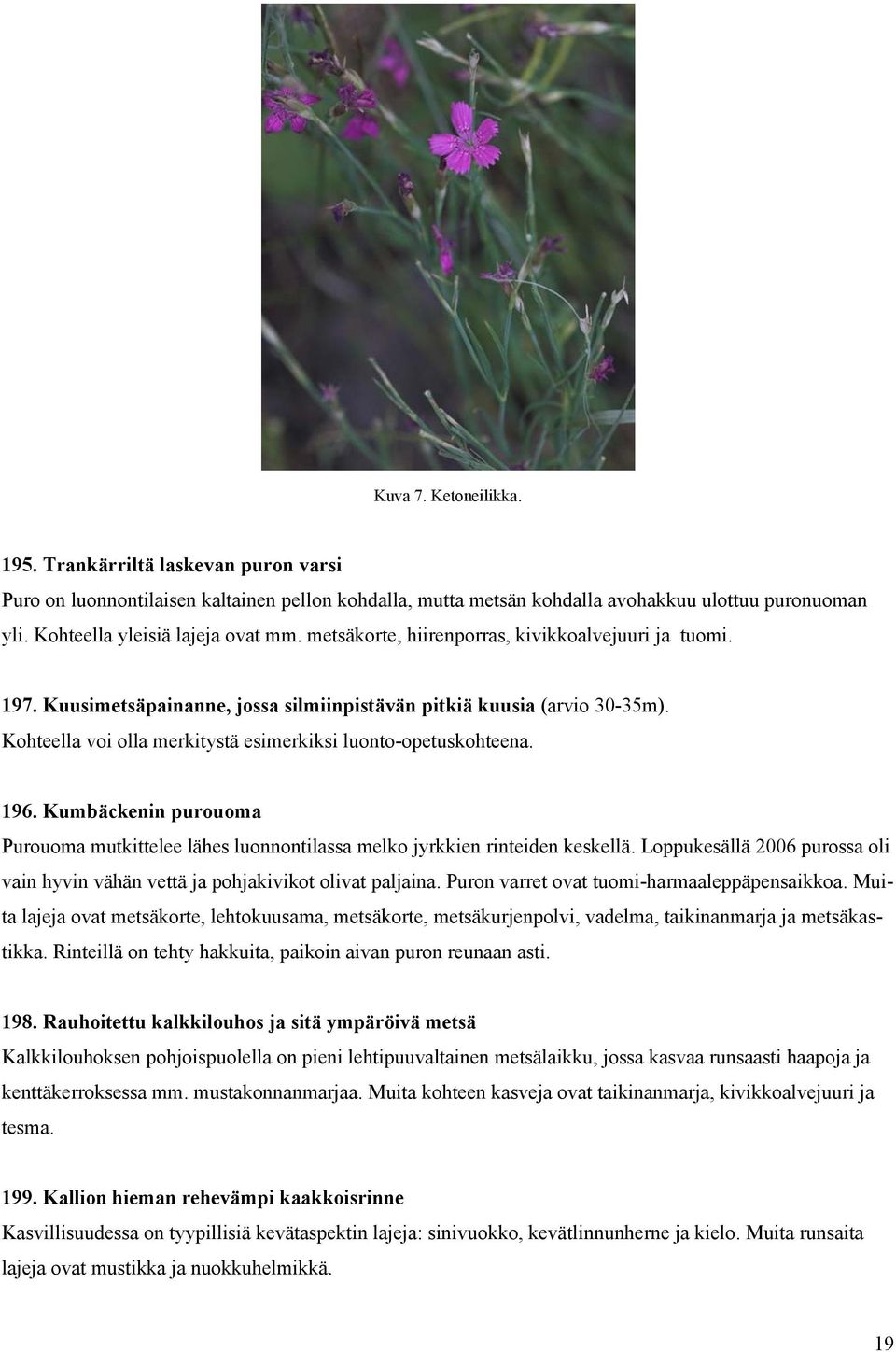 Kohteella voi olla merkitystä esimerkiksi luonto-opetuskohteena. 196. Kumbäckenin purouoma Purouoma mutkittelee lähes luonnontilassa melko jyrkkien rinteiden keskellä.