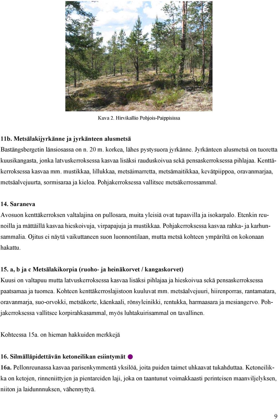 mustikkaa, lillukkaa, metsäimarretta, metsämaitikkaa, kevätpiippoa, oravanmarjaa, metsäalvejuurta, sormisaraa ja kieloa. Pohjakerroksessa vallitsee metsäkerrossammal. 14.