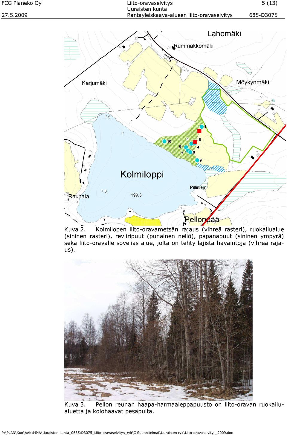 papanapuut (sininen ympyrä) sekä liito-oravalle sovelias alue, jolta on tehty lajista havaintoja (vihreä rajaus). Kuva 3.