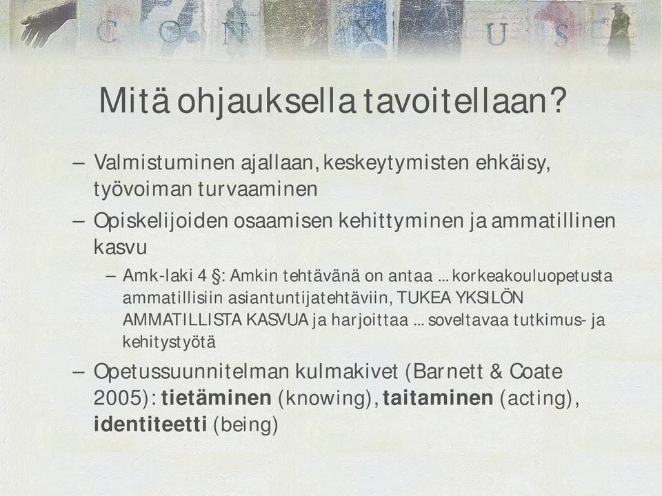 ammatillinen kasvu Amk-laki 4 : Amkin tehtävänä on antaa.