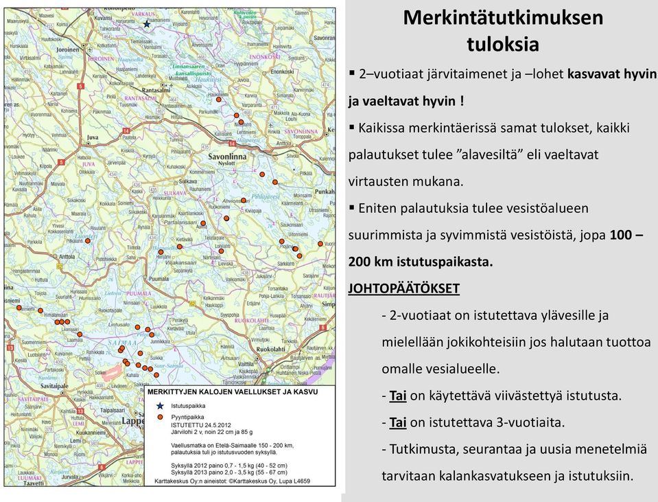 Eniten palautuksia tulee vesistöalueen suurimmista ja syvimmistä vesistöistä, jopa 100 200 km istutuspaikasta.