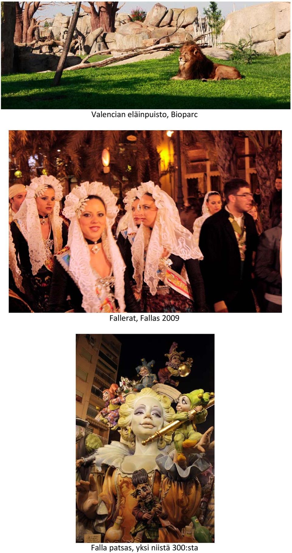 Fallerat, Fallas 2009