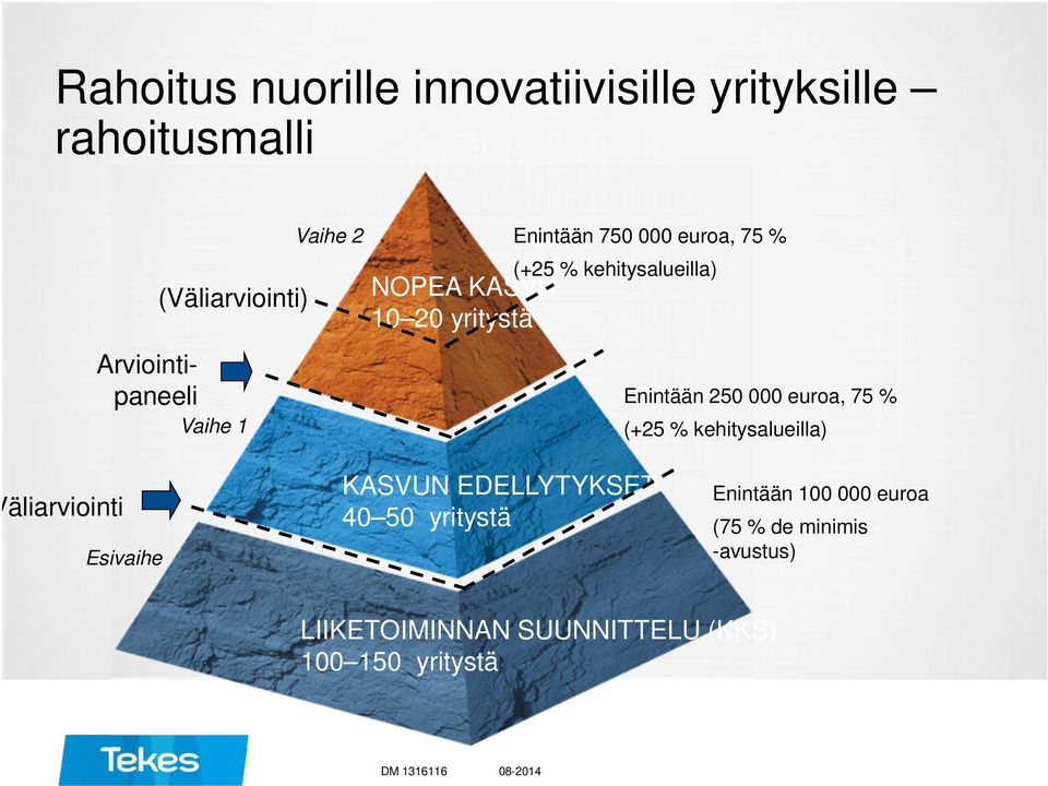 euroa, 75 % (+25 % kehitysalueilla) Väliarviointi Esivaihe KASVUN EDELLYTYKSET 40 50 yritystä Enintään