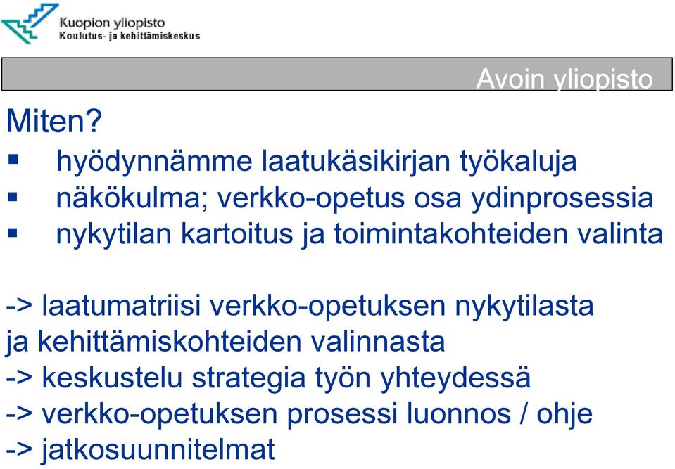 nykytilan kartoitus ja toimintakohteiden valinta -> laatumatriisi verkko-opetuksen