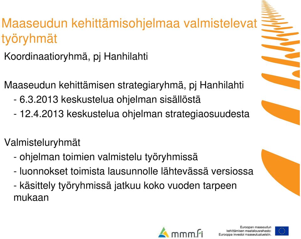 2013 keskustelua ohjelman strategiaosuudesta Valmisteluryhmät - ohjelman toimien valmistelu