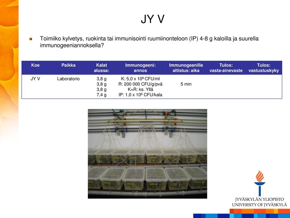 immunogeeniannoksella?