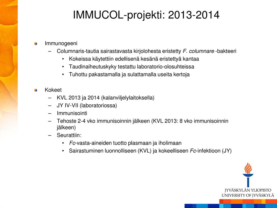 pakastamalla ja sulattamalla useita kertoja Kokeet KVL 2013 ja 2014 (kalanviljelylaitoksella) JY IV-VII (laboratoriossa) Immunisointi Tehoste