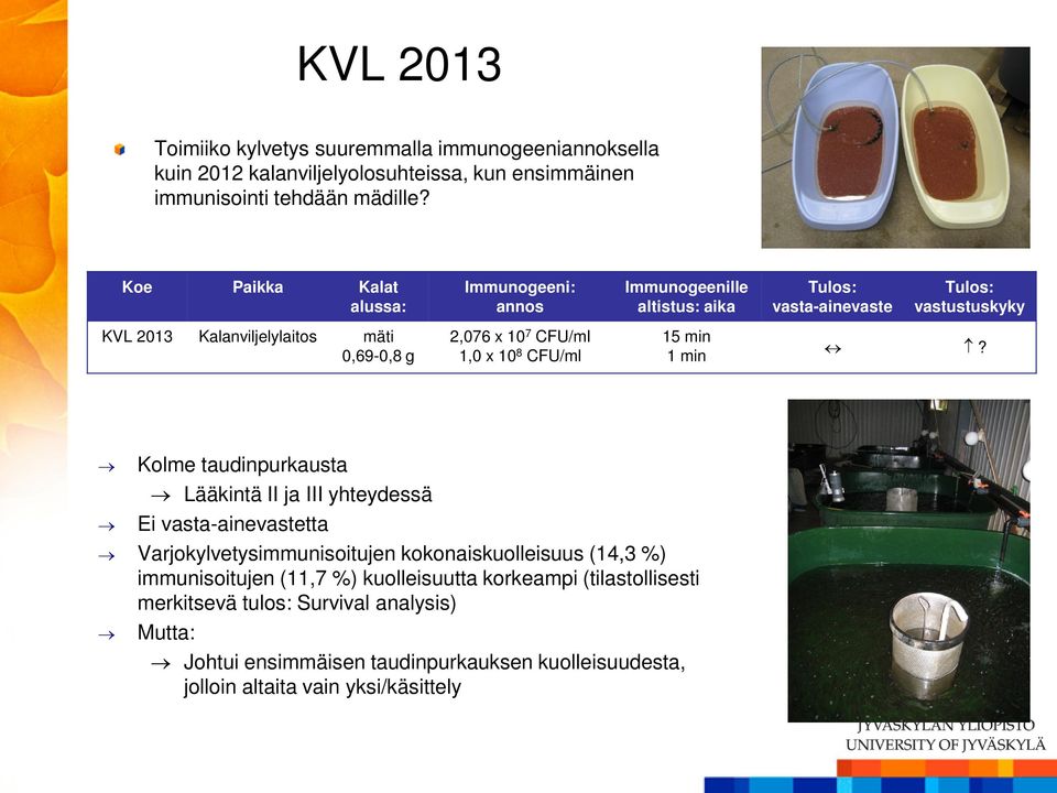 Kolme taudinpurkausta Lääkintä II ja III yhteydessä Ei tta Varjokylvetysimmunisoitujen kokonaiskuolleisuus (14,3 %) immunisoitujen (11,7