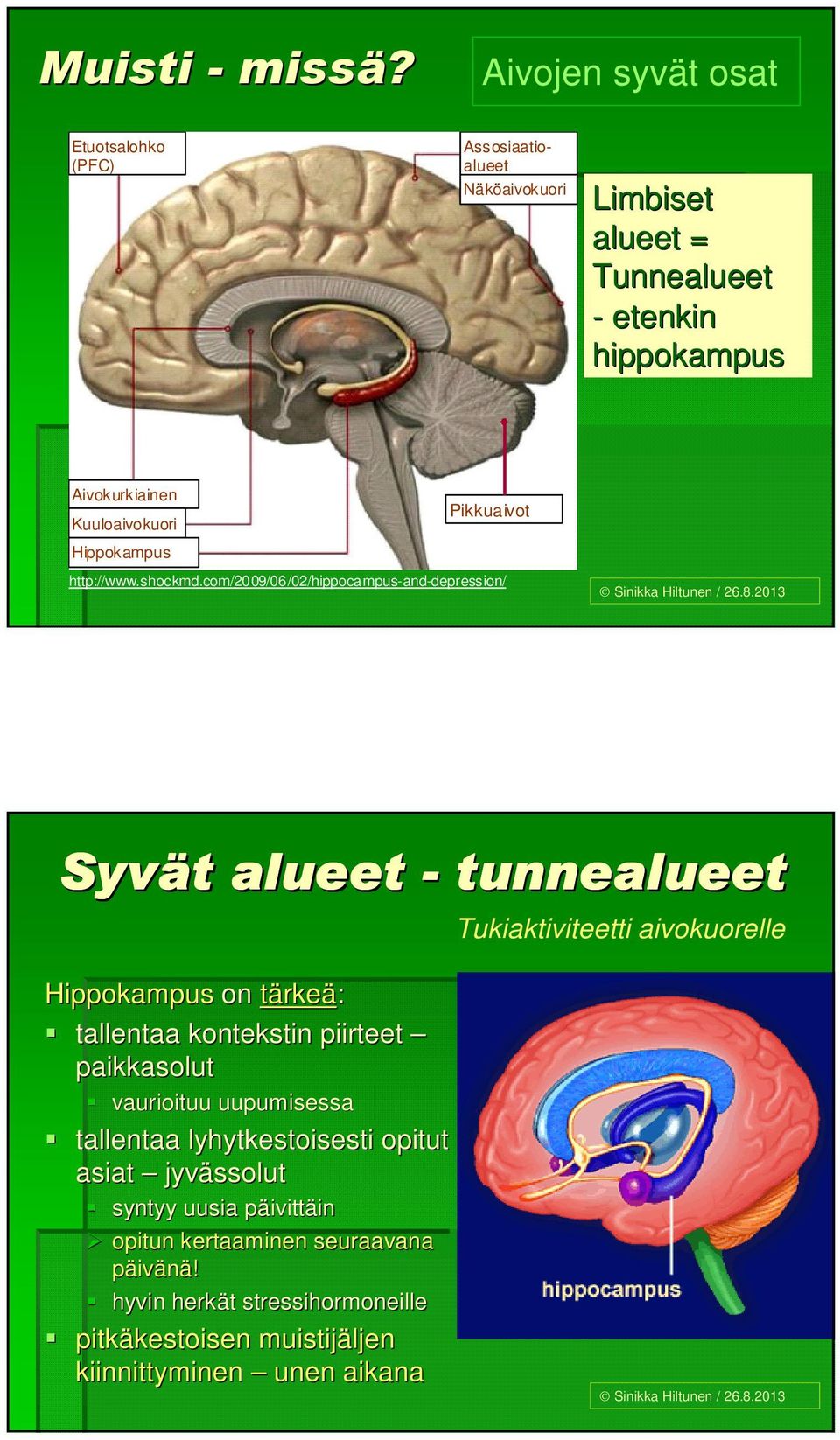 Hippokampus http://www.shockmd.com/2009/06/02/hippocampus-and-depression/ Sinikka Hiltunen / 26.8.