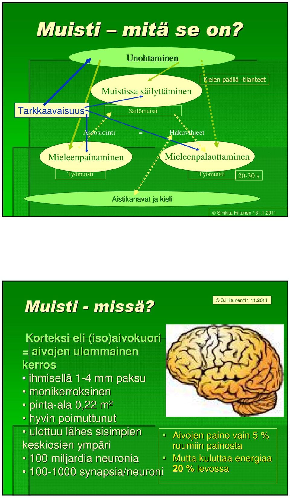 Mieleenpalauttaminen Työmuisti Työmuisti 20-30 s Aistikanavat ja kieli Sinikka Hiltunen / 31.1.2011 