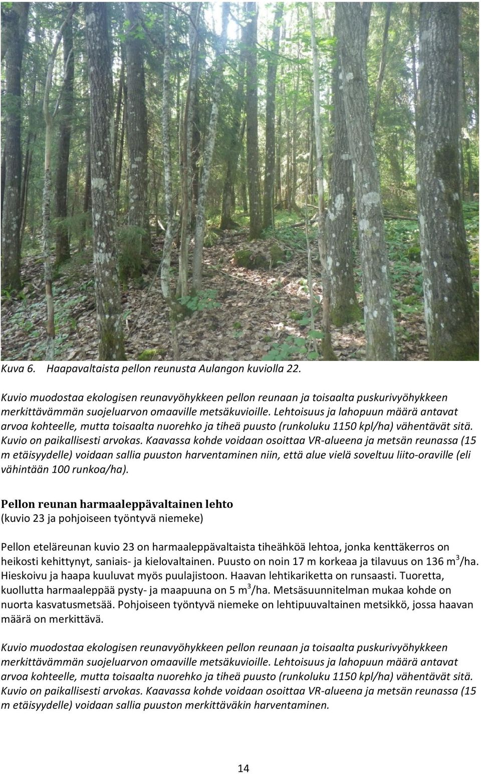 Lehtoisuus ja lahopuun määrä antavat arvoa kohteelle, mutta toisaalta nuorehko ja tiheä puusto (runkoluku 1150 kpl/ha) vähentävät sitä. Kuvio on paikallisesti arvokas.