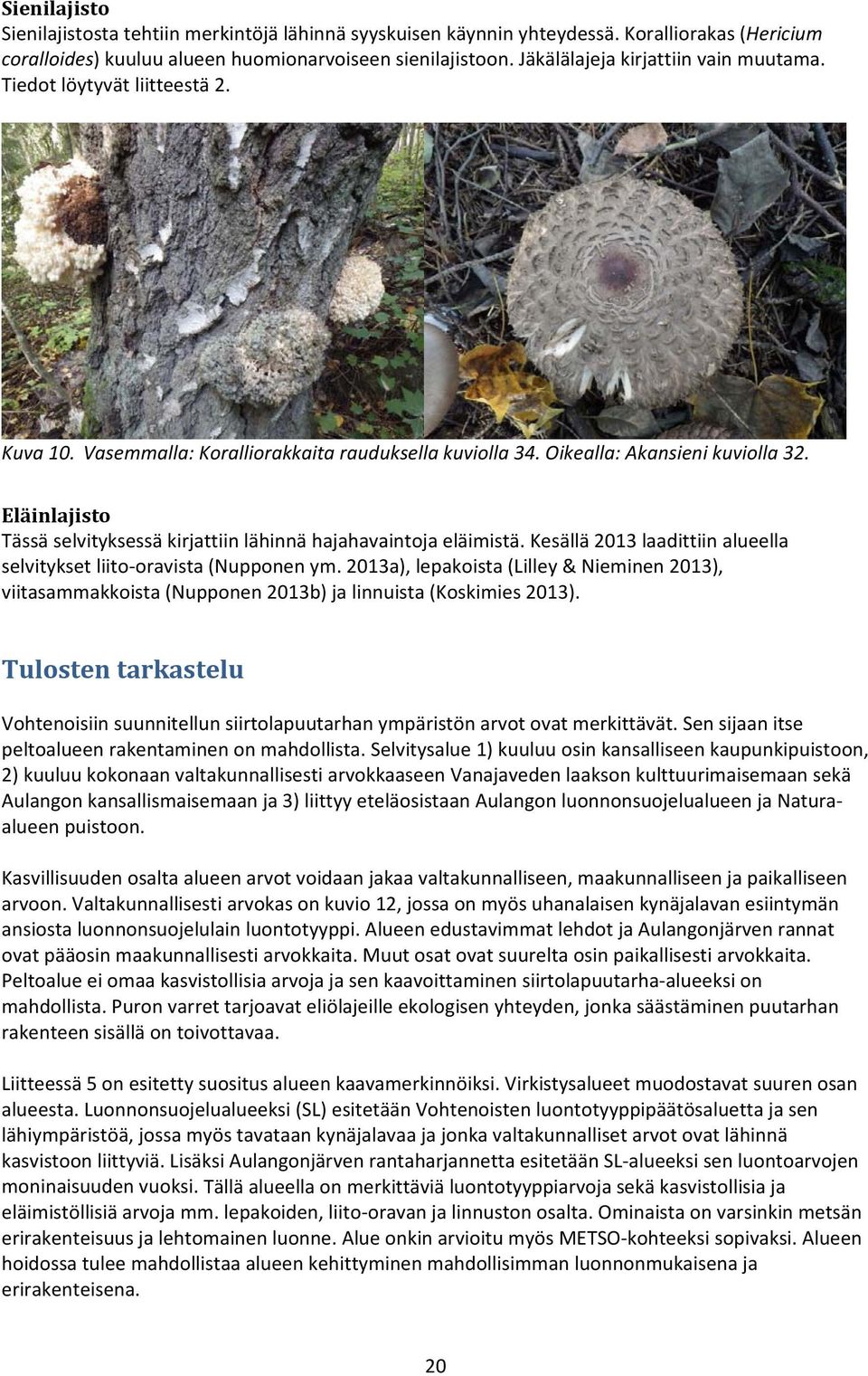 Eläinlajisto Tässä selvityksessä kirjattiin lähinnä hajahavaintoja eläimistä. Kesällä 2013 laadittiin alueella selvitykset liito oravista (Nupponen ym.