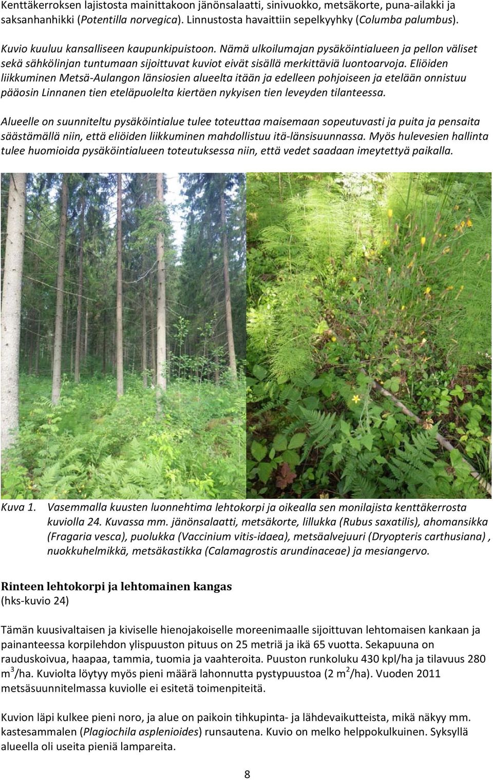 Eliöiden liikkuminen Metsä Aulangon länsiosien alueelta itään ja edelleen pohjoiseen ja etelään onnistuu pääosin Linnanen tien eteläpuolelta kiertäen nykyisen tien leveyden tilanteessa.