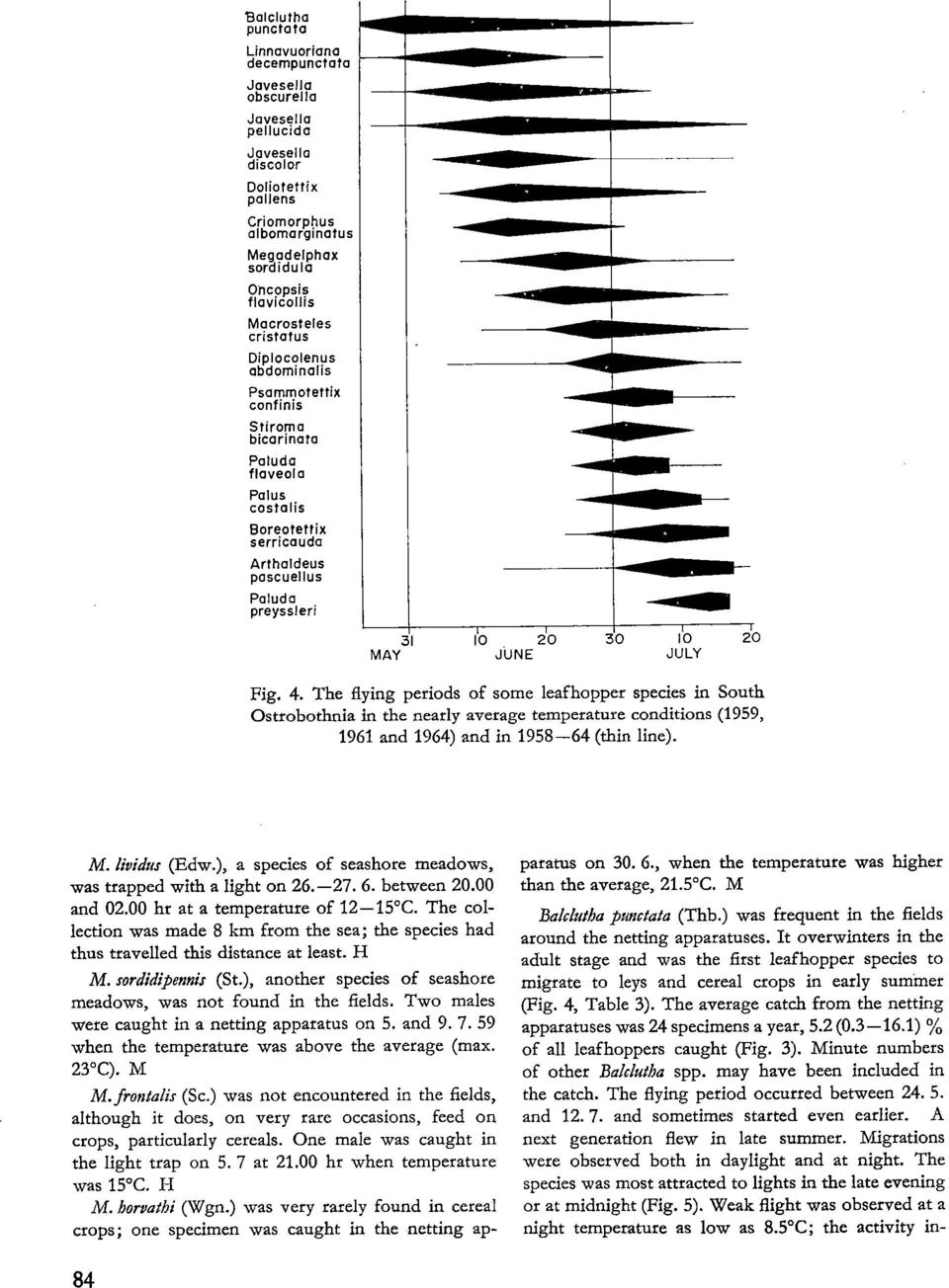 31 MAY 4011111111~--- ~mm- -~11~ --ffleemefflo ~Mm-- -~11111 10 20 30 10 210 JUNE JULY Fig. 4. The flying periods of some leafhopper species in South Ostrobothnia in the nearly average temperature conditions (1959, 1961 and 1964) and in 1958-64 (thin line).