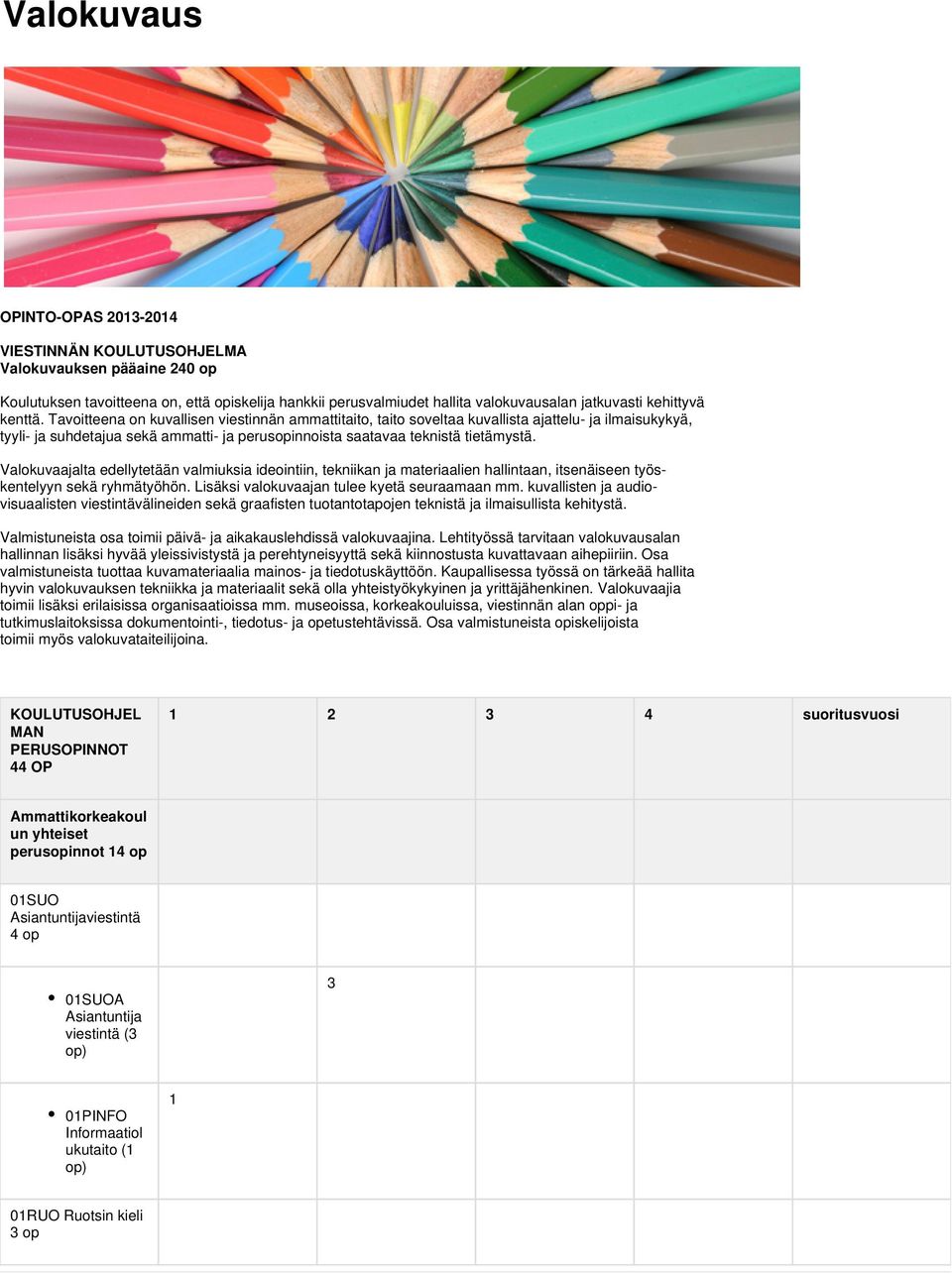 Valokuvaajalta edellytetään valmiuksia ideointiin, tekniikan ja materiaalien hallintaan, itsenäiseen työskentelyyn sekä ryhmätyöhön. Lisäksi valokuvaajan tulee kyetä seuraamaan mm.