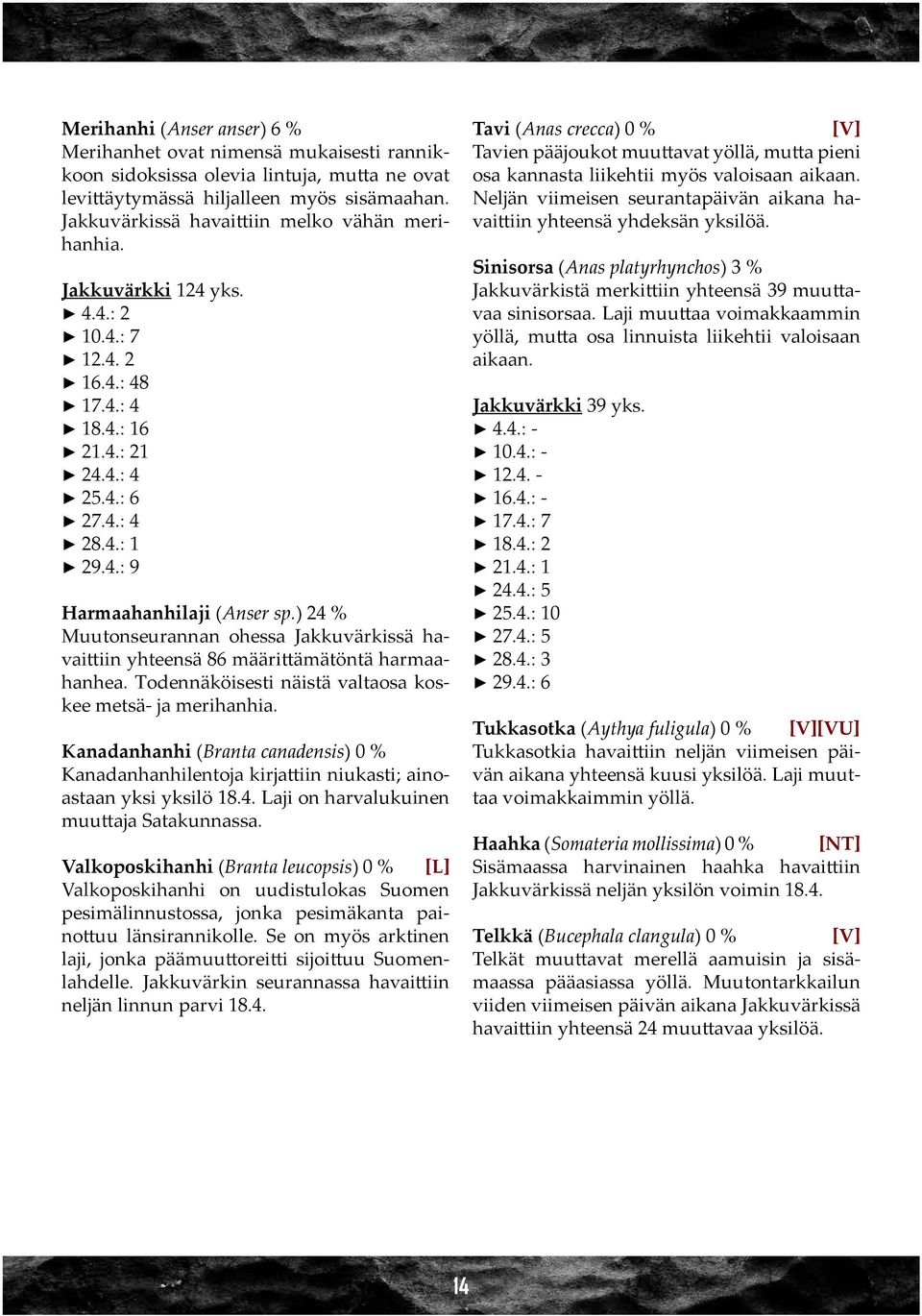 ) 24 % Muutonseurannan ohessa Jakkuvärkissä havaittiin yhteensä 86 määrittämätöntä harmaahanhea. Todennäköisesti näistä valtaosa koskee metsä- ja merihanhia.