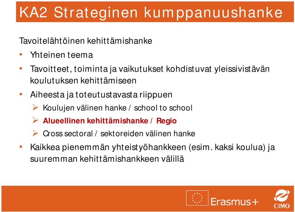 Koulujen välinen hanke / school to school Alueellinen kehittämishanke / Regio Cross sectoral /