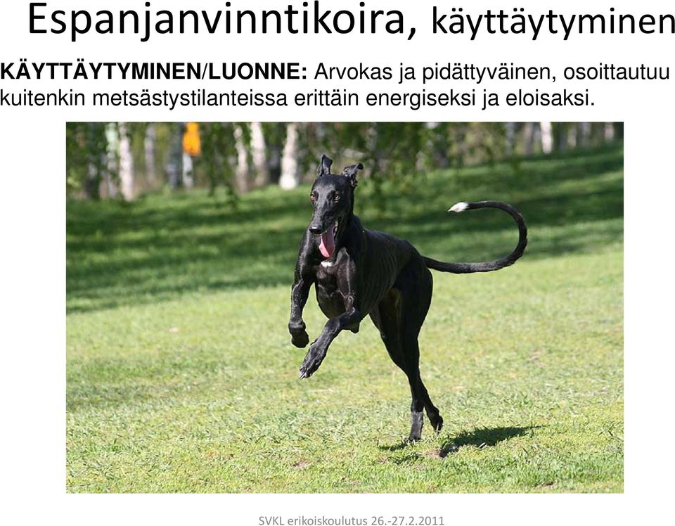 pidättyväinen, osoittautuu kuitenkin