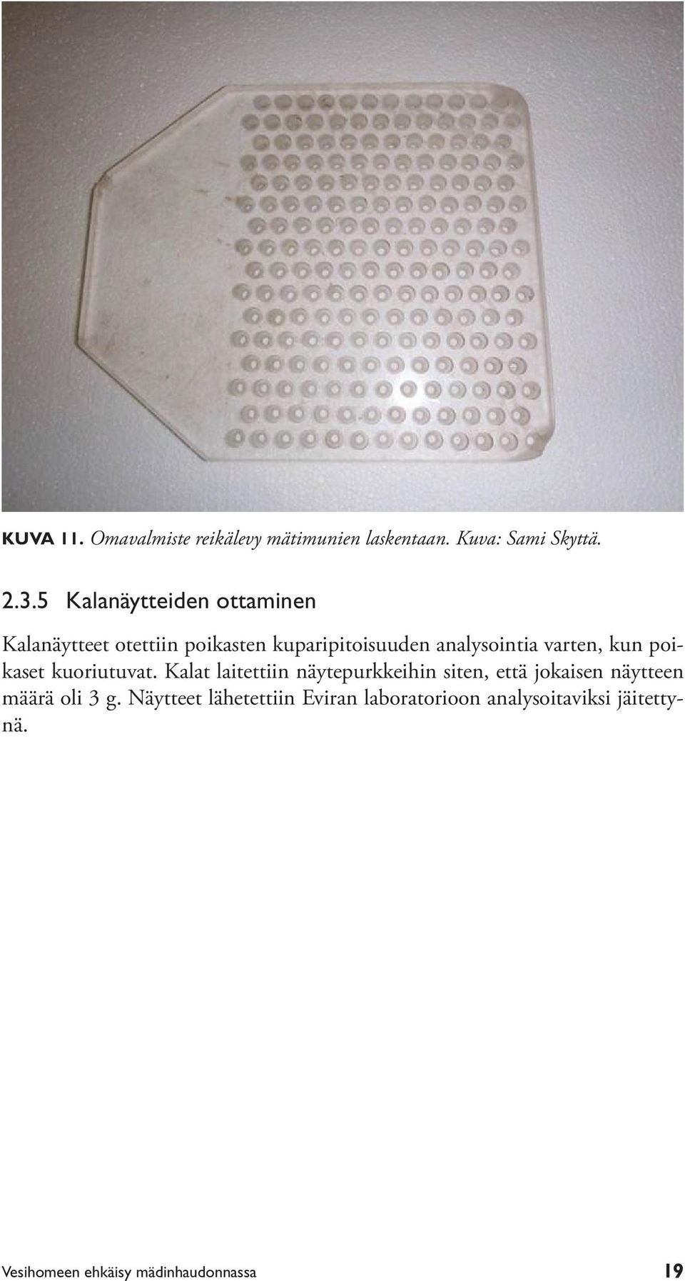 varten, kun poikaset kuoriutuvat.