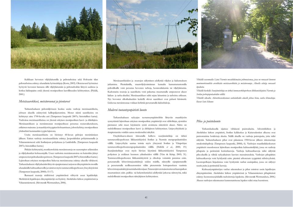 (Pykälä, 2001.) Metsäsaarekkeet, metsänreunat ja pientareet Tarkastelualueen peltomiljööseen kuuluu useita vanhoja metsäsaarekkeita, johtuen alueella esiintyvistä kalliopaljastumista.