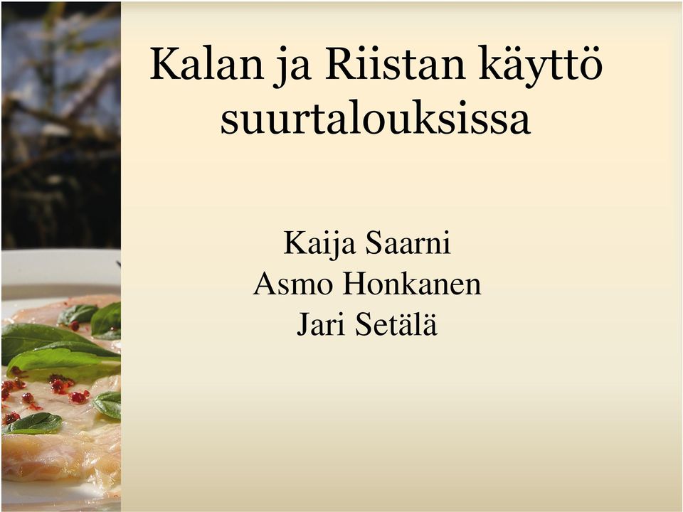 suurtalouksissa