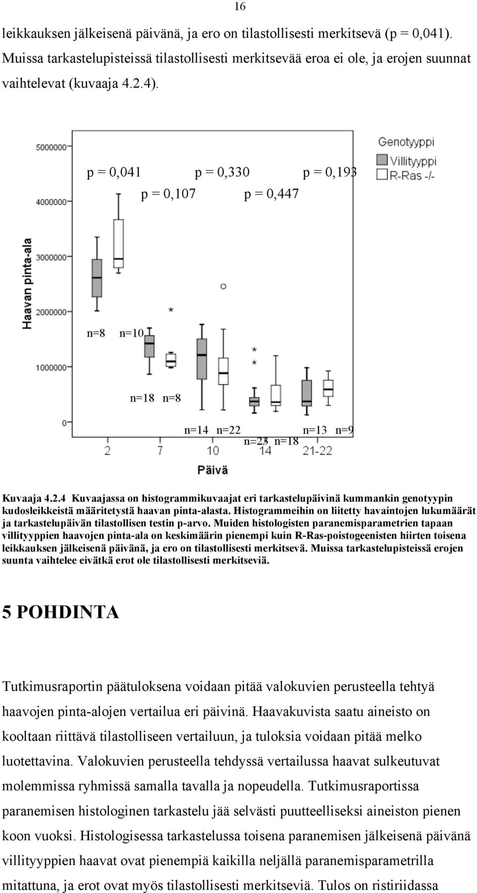 n=23 n=13 n=18 n=9 Kuvaaja 4.2.4 Kuvaajassa on histogrammikuvaajat eri tarkastelupäivinä kummankin genotyypin kudosleikkeistä määritetystä haavan pinta-alasta.