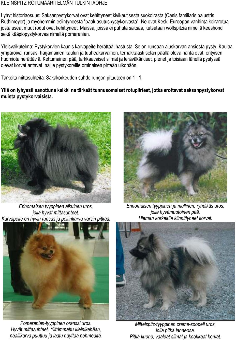 Maissa, joissa ei puhuta saksaa, kutsutaan wolfspitziä nimellä keeshond sekä kääpiöpystykorvaa nimellä pomeranian. Yleisvaikutelma: Pystykorvien kaunis karvapeite herättää ihastusta.