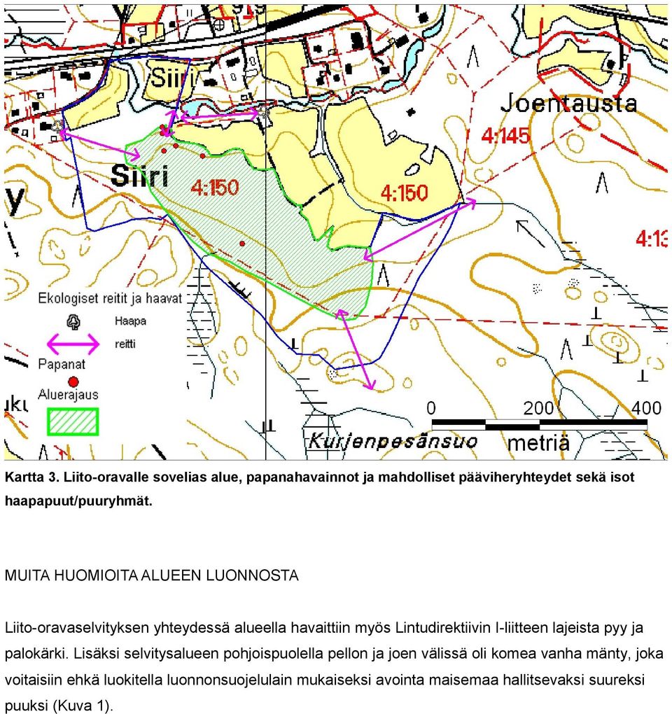 I-liitteen lajeista pyy ja palokärki.