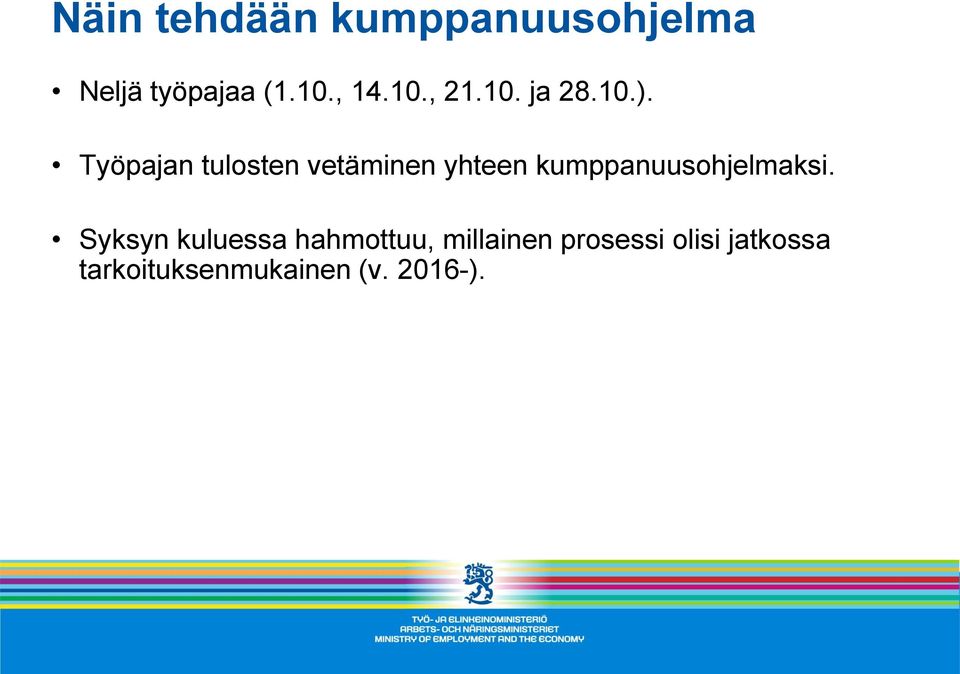 Työpajan tulosten vetäminen yhteen kumppanuusohjelmaksi.