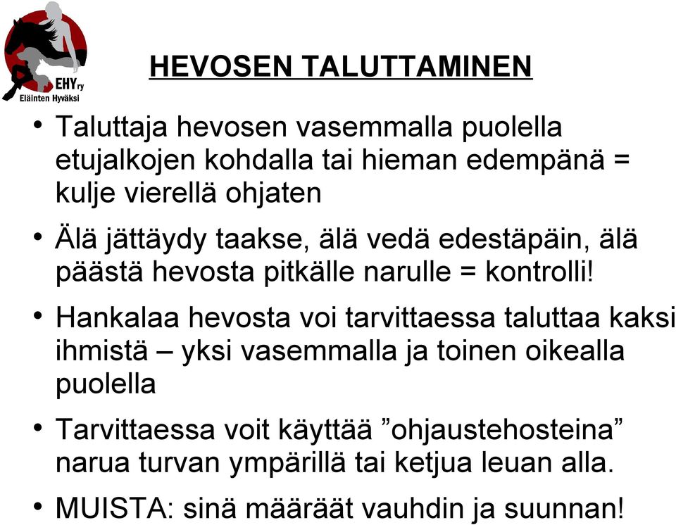 Hankalaa hevosta voi tarvittaessa taluttaa kaksi ihmistä yksi vasemmalla ja toinen oikealla puolella