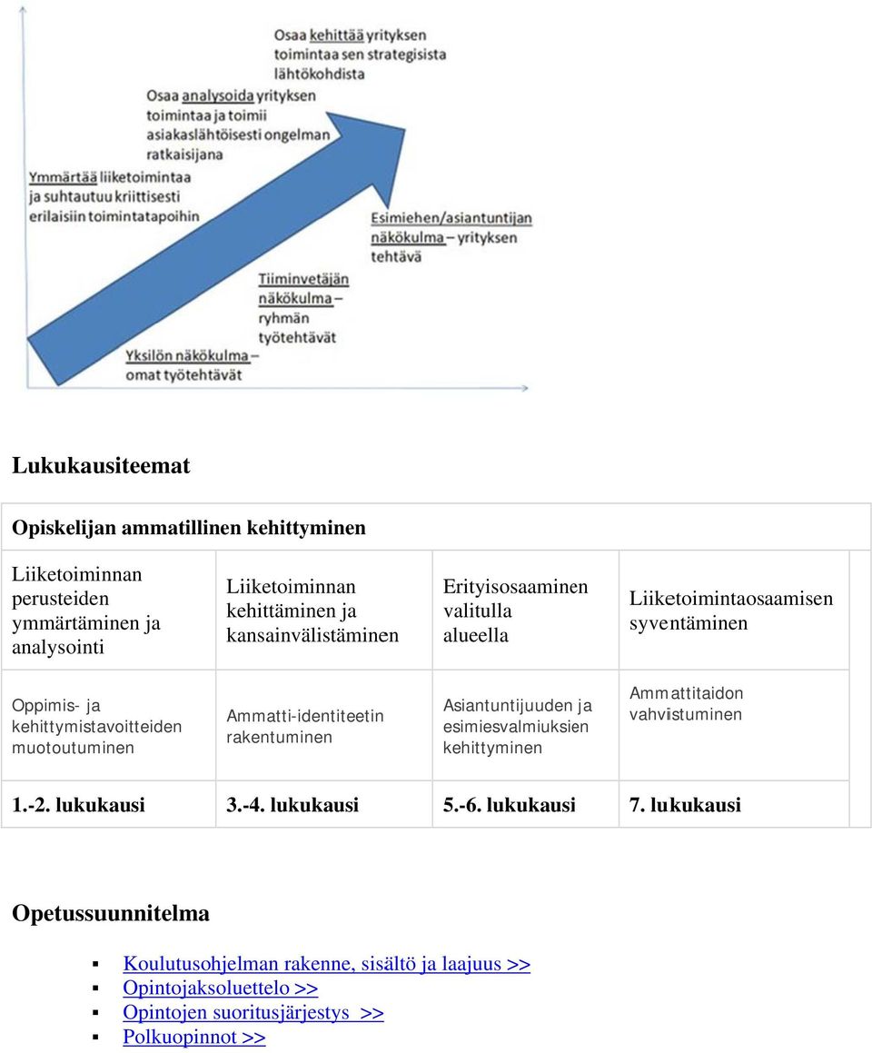 Ammatti-identiteetin rakentuminen Asiantuntijuuden ja esimiesvalmiuksien kehittyminen Ammattitaidon vahvistuminen 1.-2. lukukausi 3.-4. lukukausi 5.