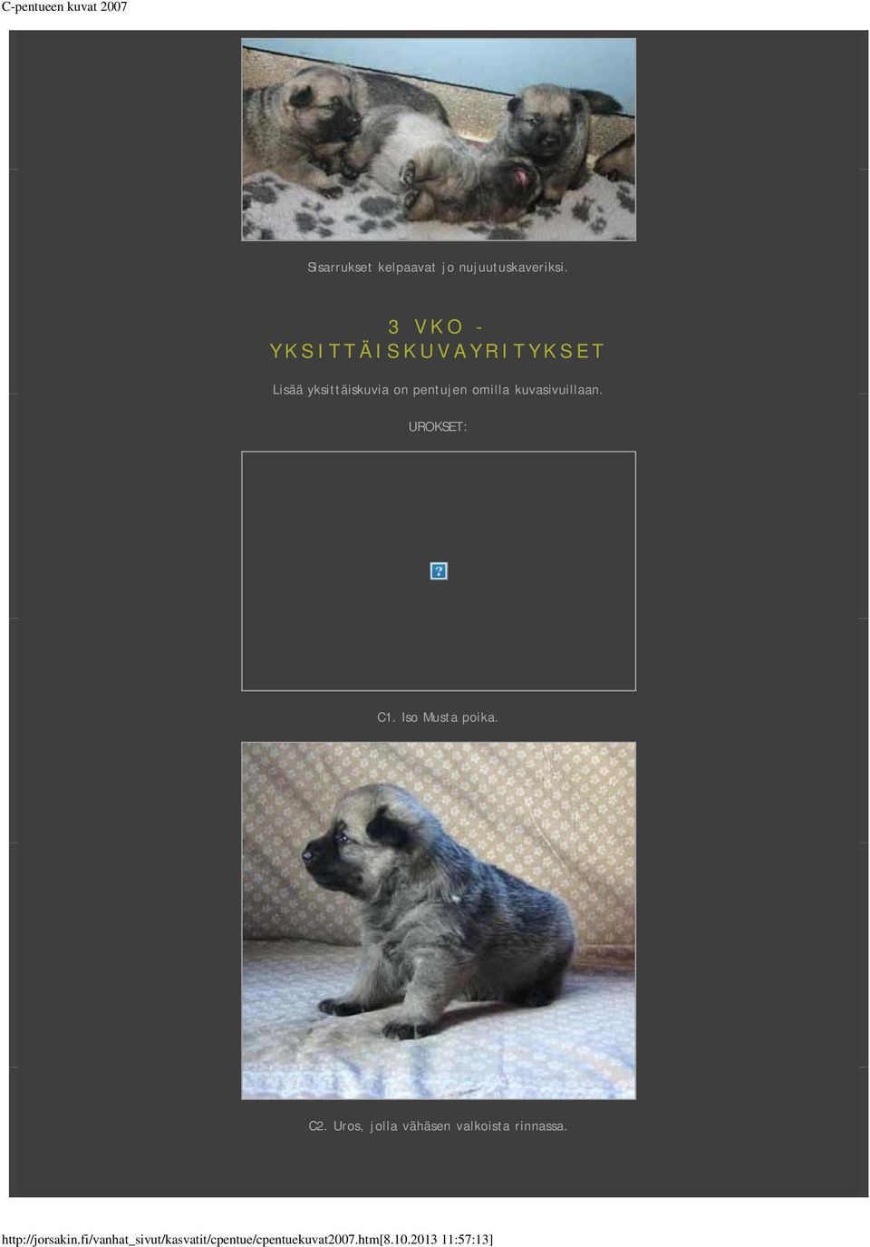 yksittäiskuvia on pentujen omilla kuvasivuillaan.