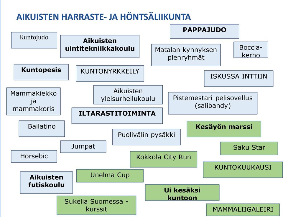 INTTIIN Pistemestari-pelisovellus (salibandy) Bailatino Horsebic Aikuisten futiskoulu Jumpat Unelma Cup Sukella