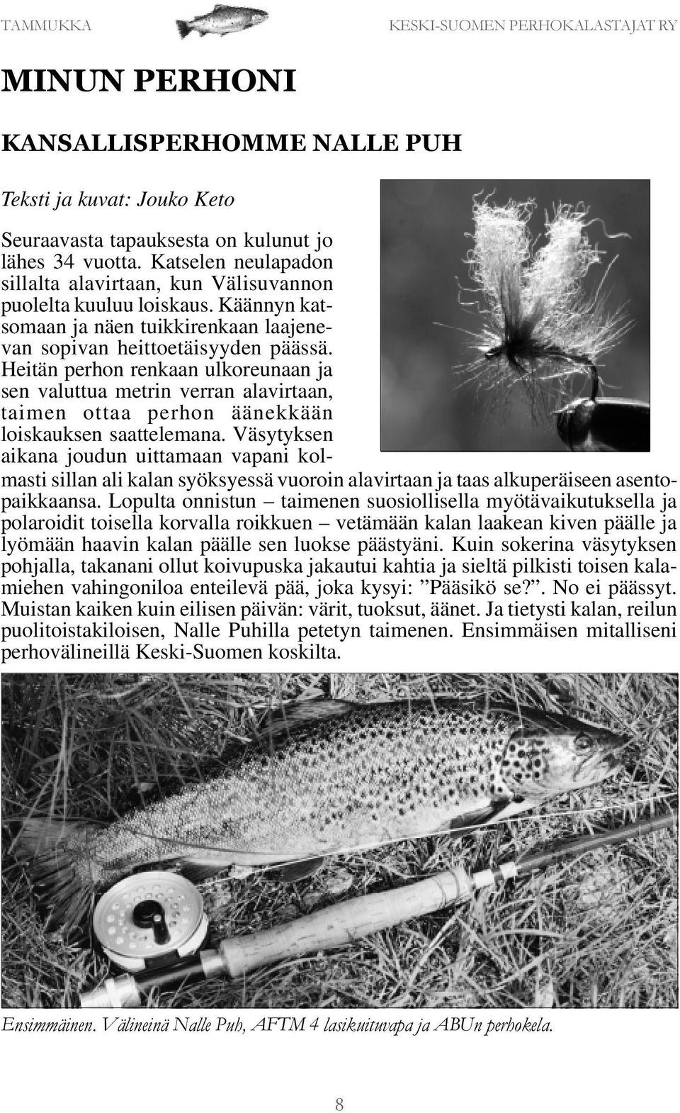 Heitän perhon renkaan ulkoreunaan ja sen valuttua metrin verran alavirtaan, taimen ottaa perhon äänekkään loiskauksen saattelemana.