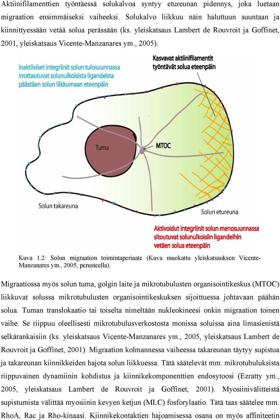 2: Solun migraation toimintaperiaate (Kuva muokattu yleiskatsauksen Vicente- Manzanares ym., 2005, perusteella).