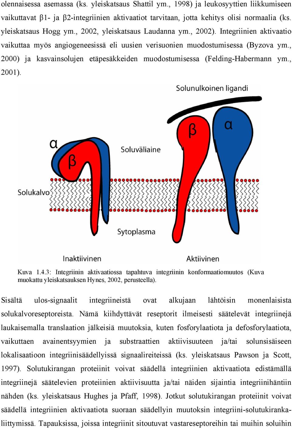 , 2000) ja kasvainsolujen etäpesäkkeiden muodostumisessa (Felding-Habermann ym., 2001). Kuva 1.4.