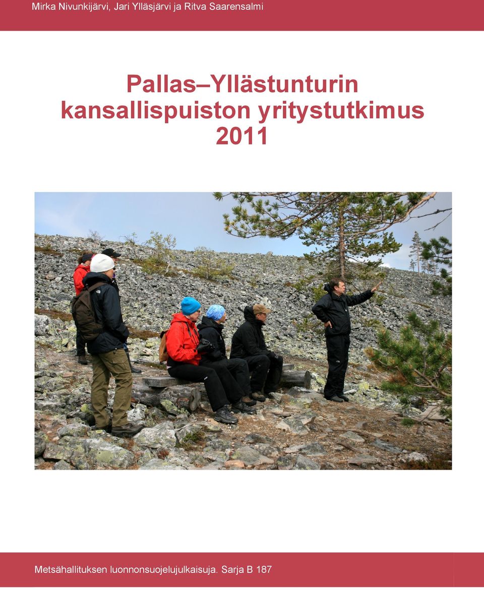 kansallispuiston yritystutkimus 2011