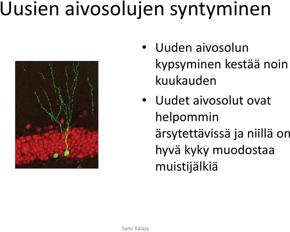 aivosolut ovat helpommin ärsytettävissä ja