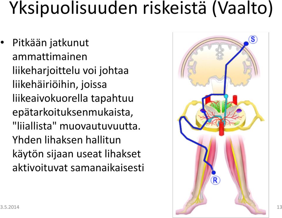 tapahtuu epätarkoituksenmukaista, "liiallista" muovautuvuutta.