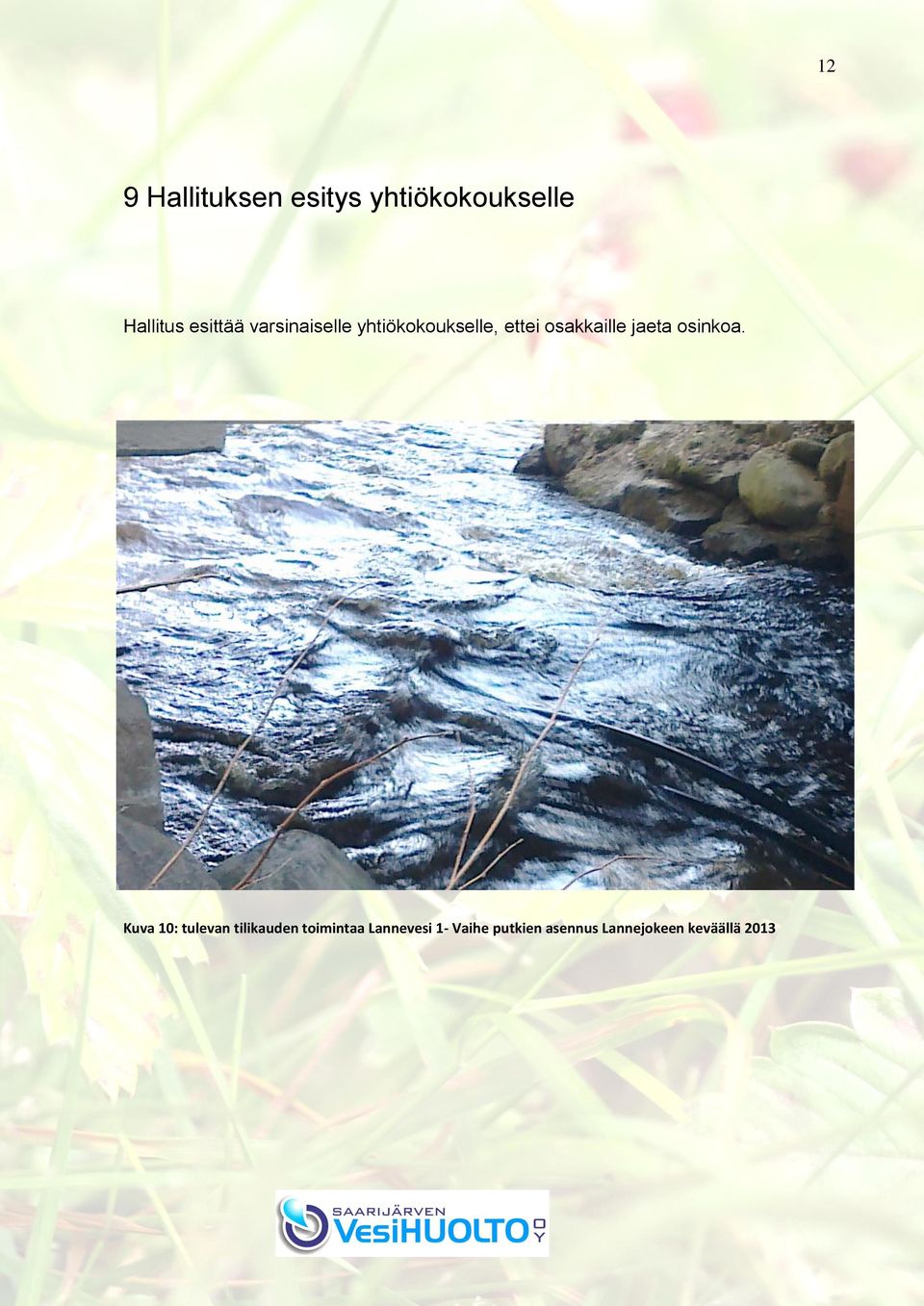 osakkaille jaeta osinkoa.