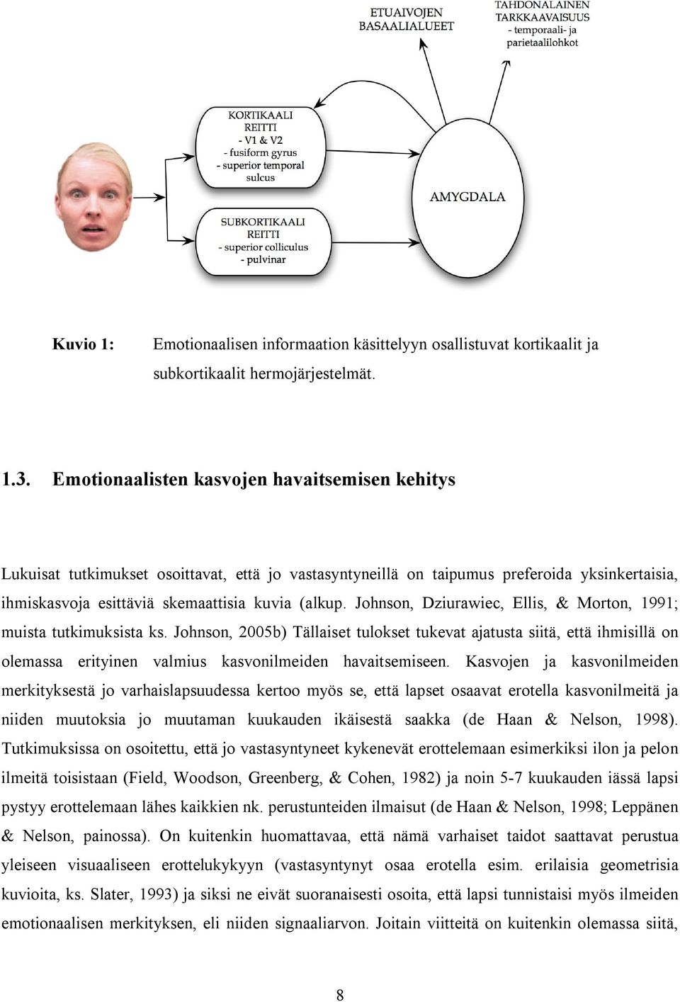 Johnson, Dziurawiec, Ellis, & Morton, 1991; muista tutkimuksista ks.