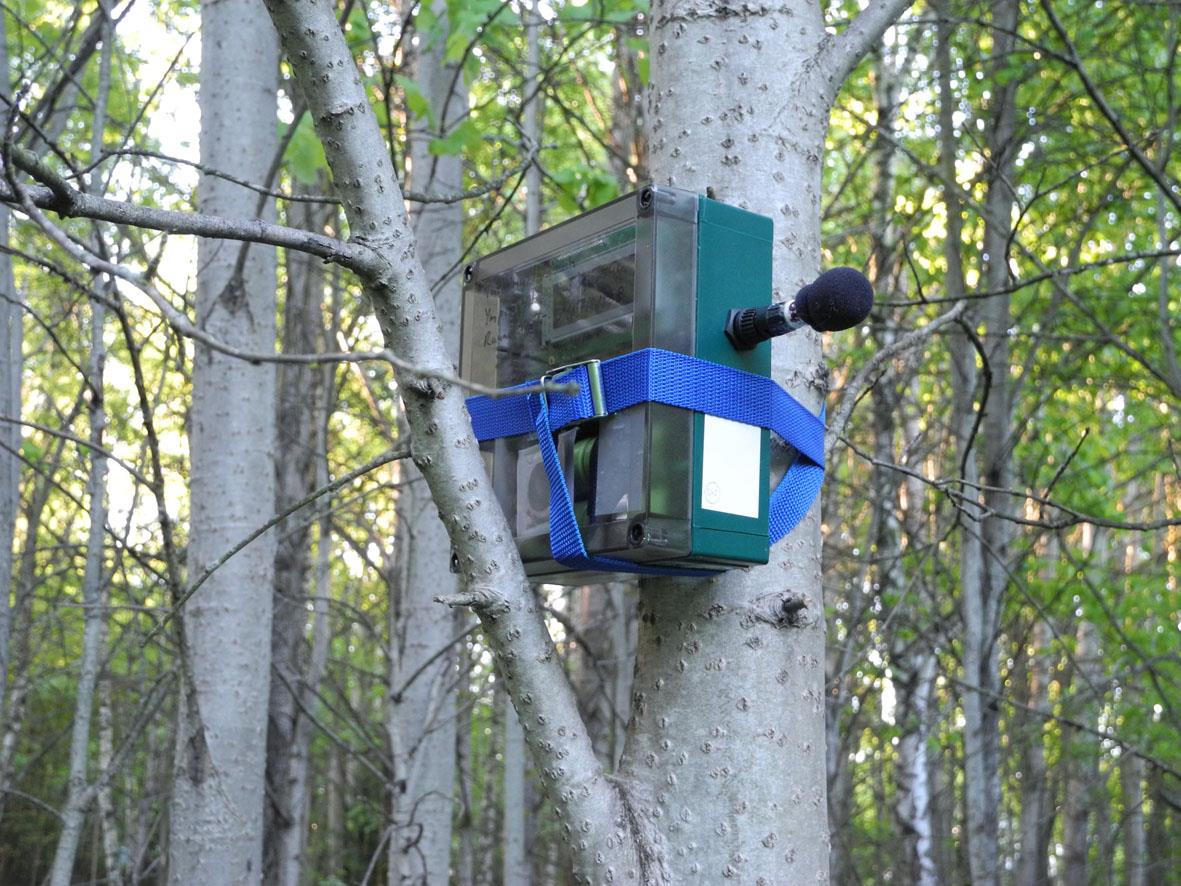 4 Lepakkoselvitys Suomessa havaitut 13 lepakkolajia ovat luonnonsuojelulain nojalla rauhoitettuja.